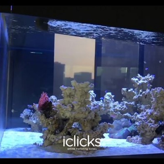 Proud of this great acrylic aquarium project we made for our...