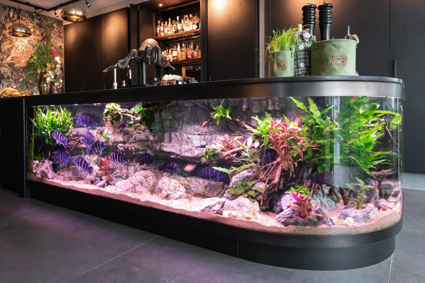 Grit Prestige onvergeeflijk Aqua Luxury maatwerk aquariums